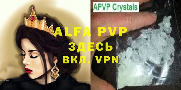 прущие грибы Богданович