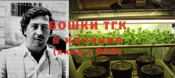прущие грибы Богданович
