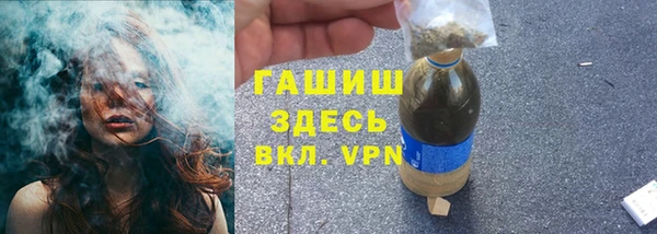 прущие грибы Богданович