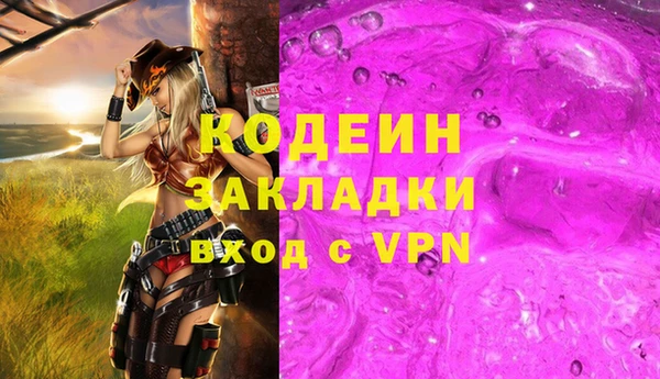 прущие грибы Богданович