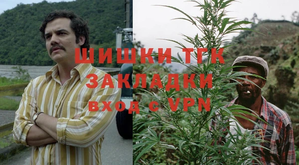 прущие грибы Богданович